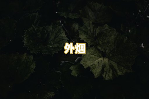 外烟